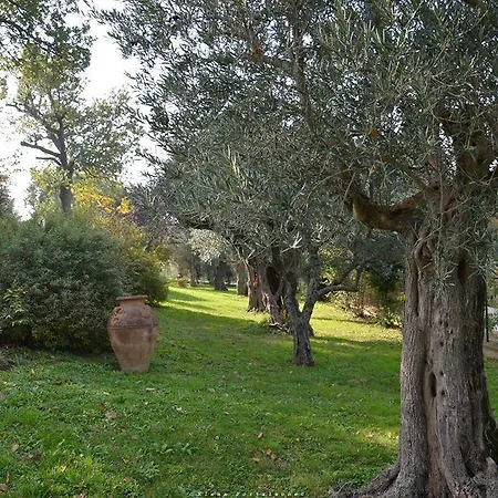 Bed and Breakfast Casale Il Cerqueto San Severino Marche Exterior foto