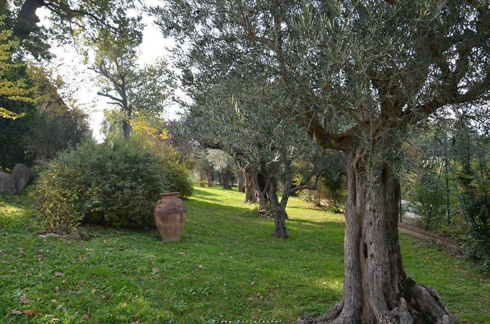 Bed and breakfast Casale Il Cerqueto *