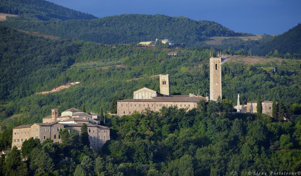 Casale Il Cerqueto
